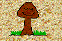 hongo
